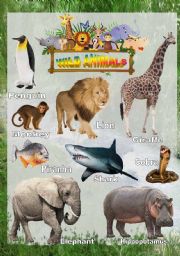 English Worksheet: Wild animals - Poster 1