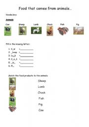 English Worksheet: Where does food come from?
