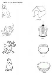 Pets And Their Homes Worksheet