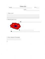 English Worksheet: science quizz