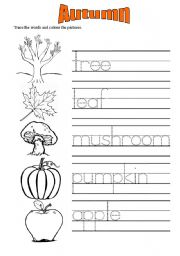 English Worksheet: Autumn vocabulary worksheets 1