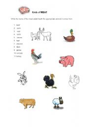 English worksheet: Meat Picture Dictionary