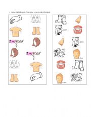 English worksheet: Match body parts