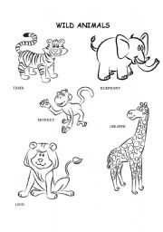 English Worksheet: Wild animals coloring