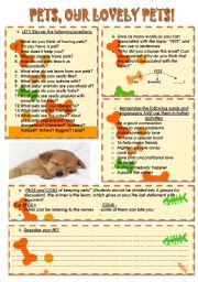 English Worksheet: Pets, our lovely pets!
