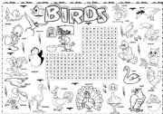 bird series