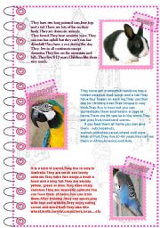 FACTS ABOUT ANIMALS 3 (domestic animals 2)