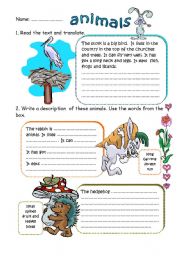 English Worksheet: WRITING ABOUT ANIMALS