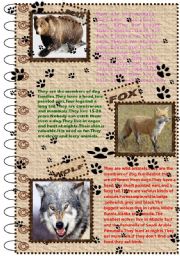 FACTS ABOUT ANIMALS SET (wild animals 1)