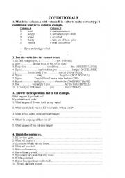 English Worksheet: conditional exercises