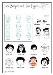 Face Shapes and Hair Types
