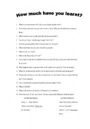 English worksheet: How much have you learnt?