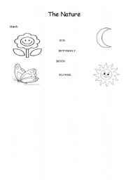 English Worksheet: The Nature