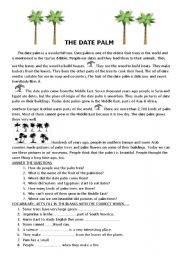 THE DATE PALM