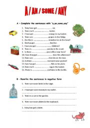 English Worksheet: QUANTIFIERS: A/AN/SOME/ANY/HOW MUCH/HOW MANY