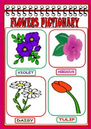 English Worksheet: Flowers Pictionary