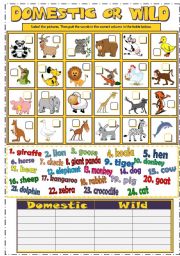 DOMESTIC or WILD ANIMALS (B&W + KEY)