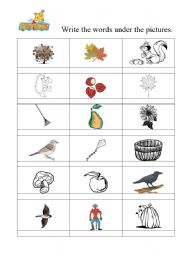 English worksheet: autumn vocabulary