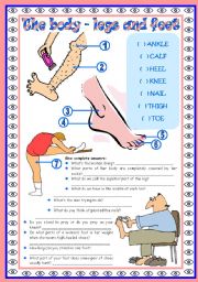 The human body (legs and feet): vocabulary  legs and feet  2 tasks  fully editable