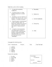 English Worksheet: Eco_aestheticians