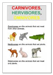 Carnivores, Herbivores, Omnivores - ESL worksheet by majess