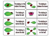 Where is the Ladybug? Preposition Dominoes Part 1 (64 cards in all with review wheels and bookmarks)