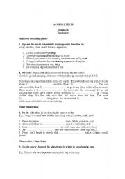 English Worksheet: the adjective