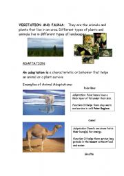 English Worksheet: *****Science reading****** Vegetation and fauna. Questions included!