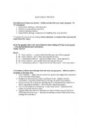 English Worksheet: Basic Essay Writing