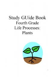 Science Study guide for 4th grade. Plants. Part 4/8