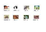 English Worksheet: Names of some animals in English and Arabic