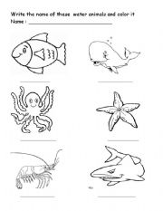 English Worksheet: Name and color aquatic animals