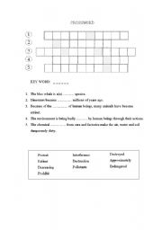 English worksheet: Environment