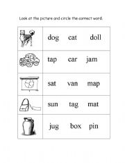 English Worksheet: Pick the correct word