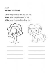 English worksheet: Animal and plant