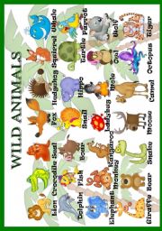 Wild animals (pictionary)