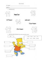 English Worksheet: number and parts of the body