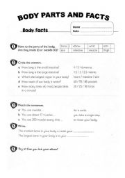 English Worksheet: BODY FACTS AND PARTS