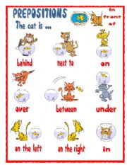PREPOSITIONS- The cat is ...