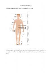 English worksheet: Parts of the body
