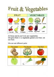Fruit & Vegetables Parts + Riddles