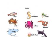 English Worksheet: Water Animals