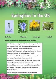 English worksheet: Springtime in the UK
