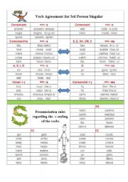 Verb Agreement for 3rd Person Singular