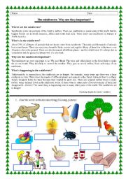 Rainforests - reading + vocabulary