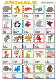 English Worksheet: Animals - multiple choice (B&W included)