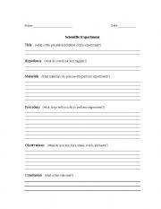 English worksheet: Scientific Experiment Worksheet