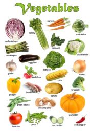 Vegetables - Poster