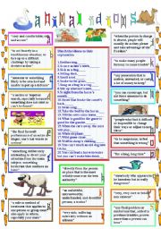 animal idioms 4