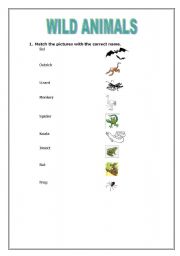English worksheet: Wild animals